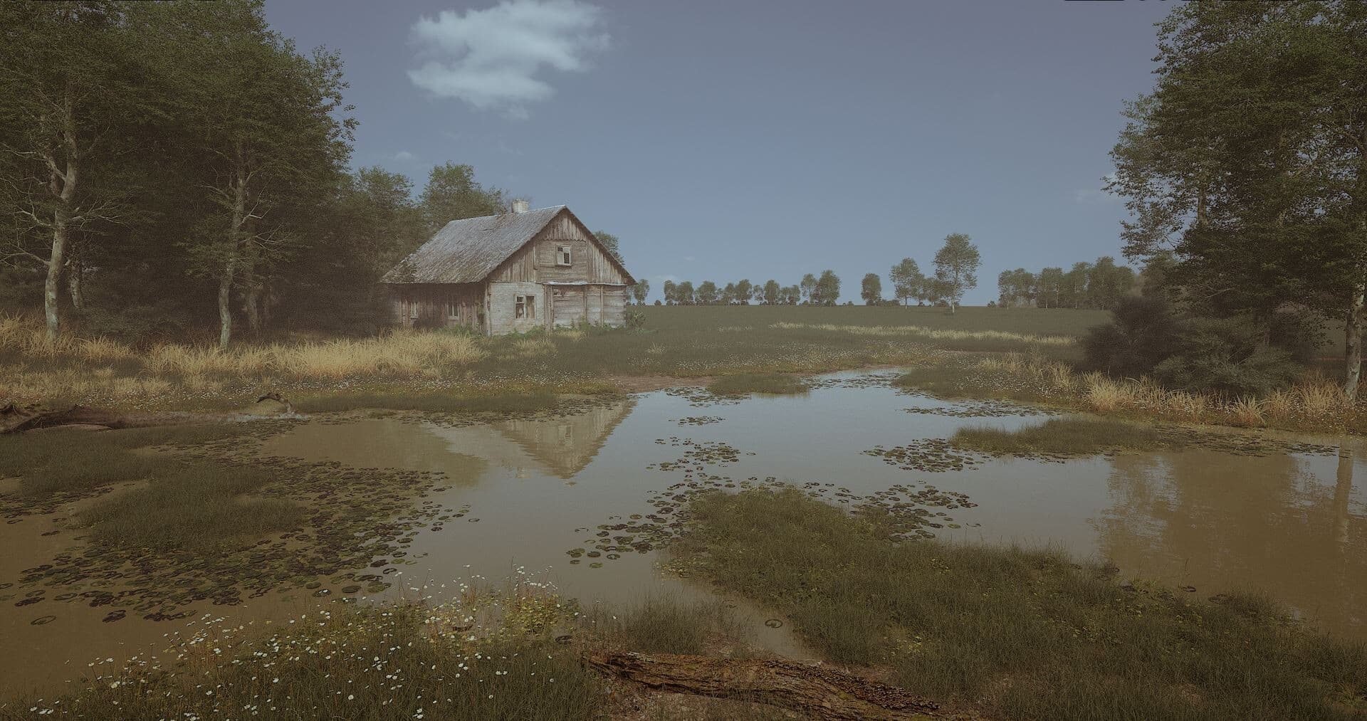 Close-up environmental detail