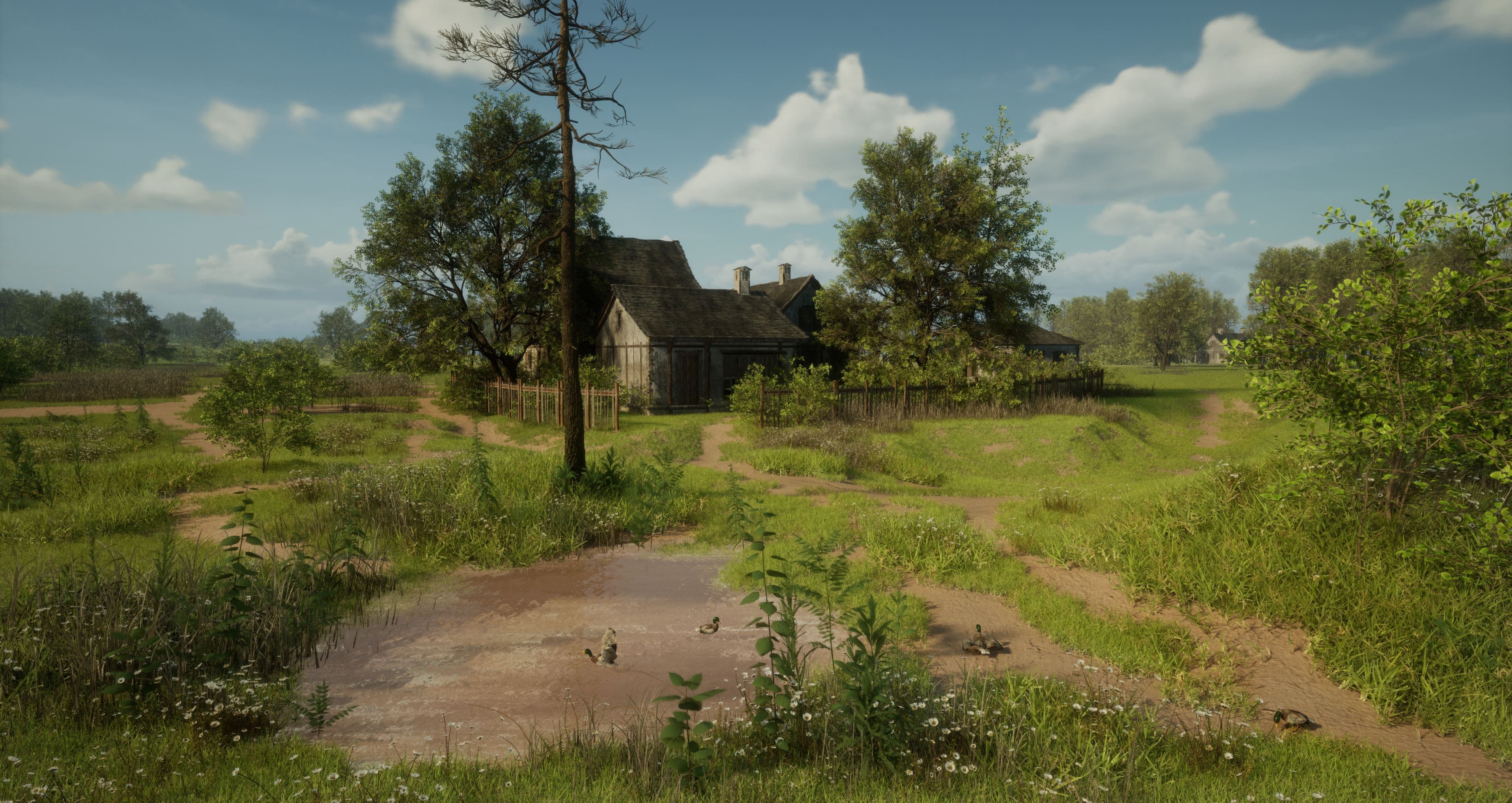 Natural landscape with dynamic time-of-day lighting