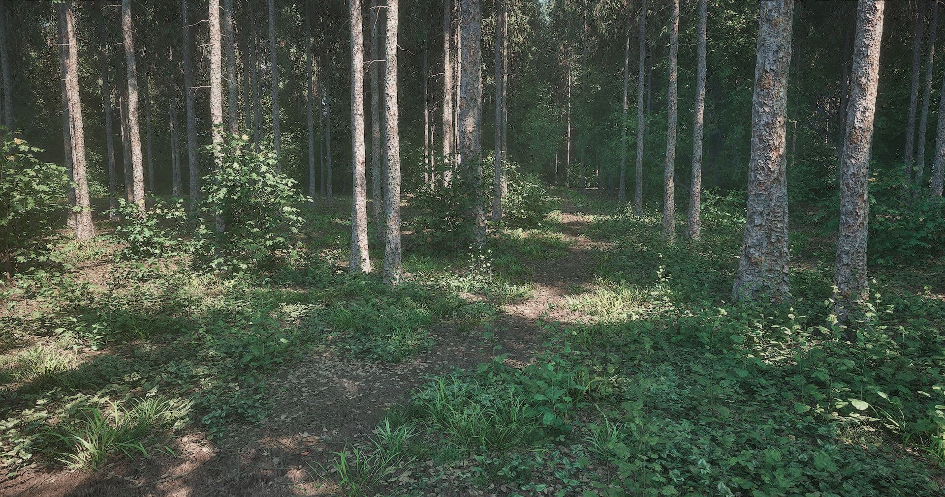 Atmospheric environmental scene