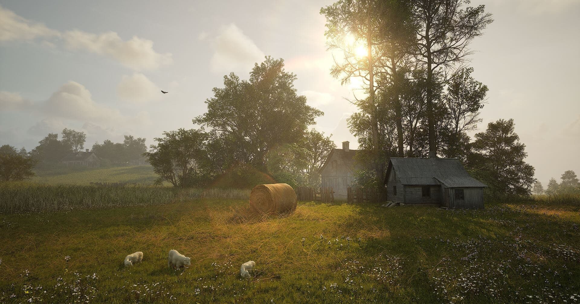 Immersive exploration and discovery