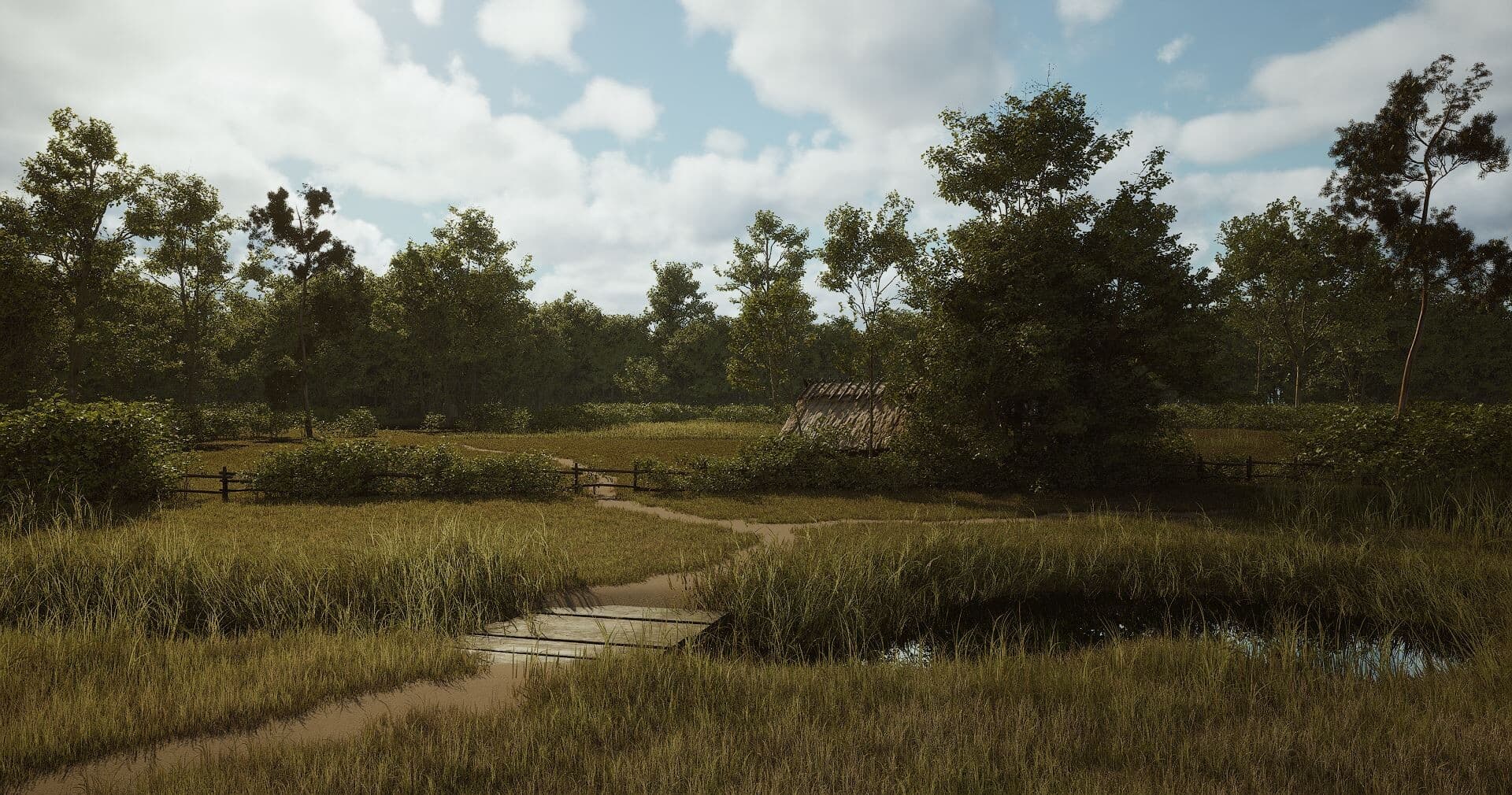 Atmospheric view of historic Old D'Hanis landscape, featuring preserved ruins and vegetation of the 19th-century Texas settlement